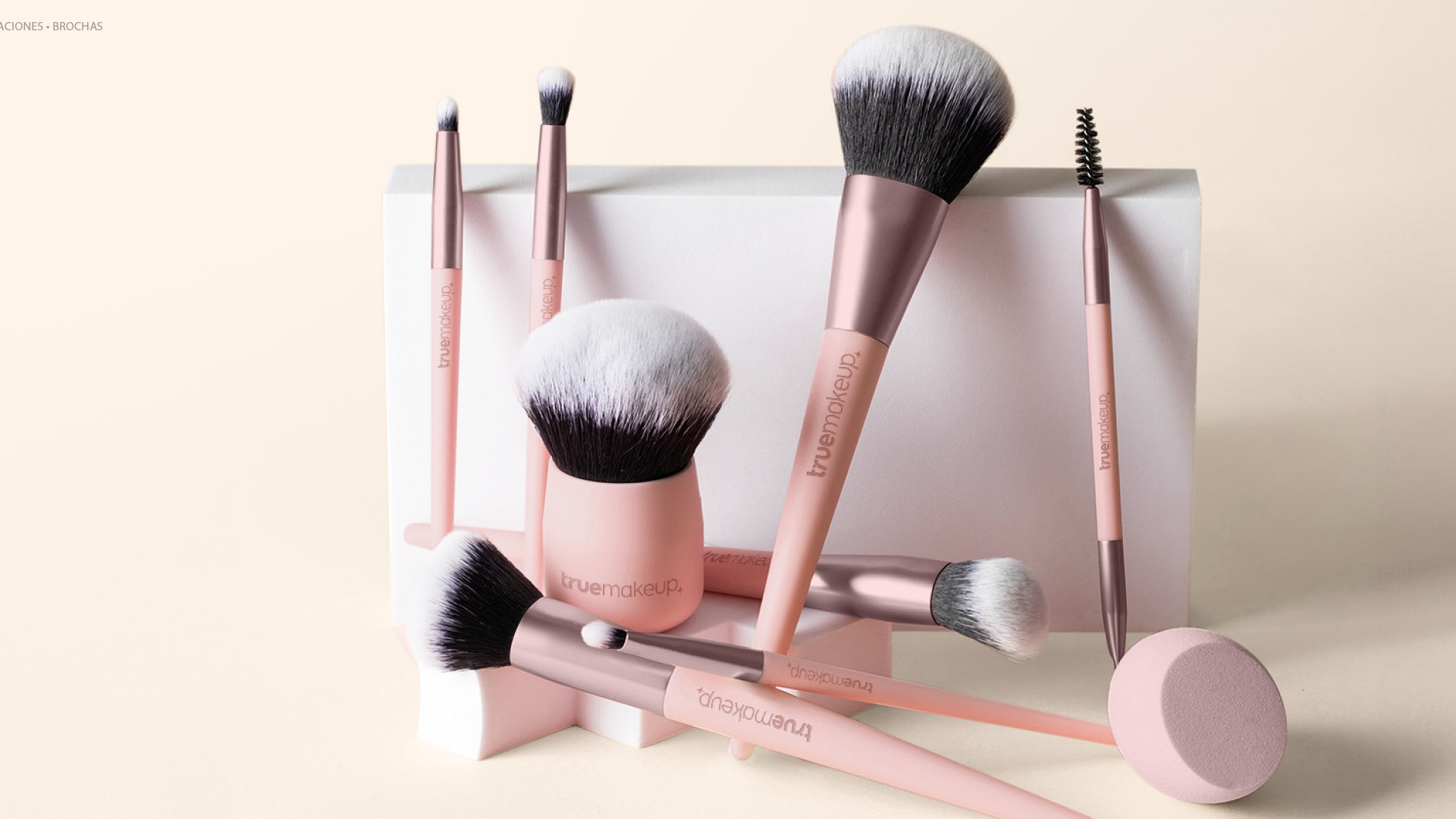 Set profesional de brochas